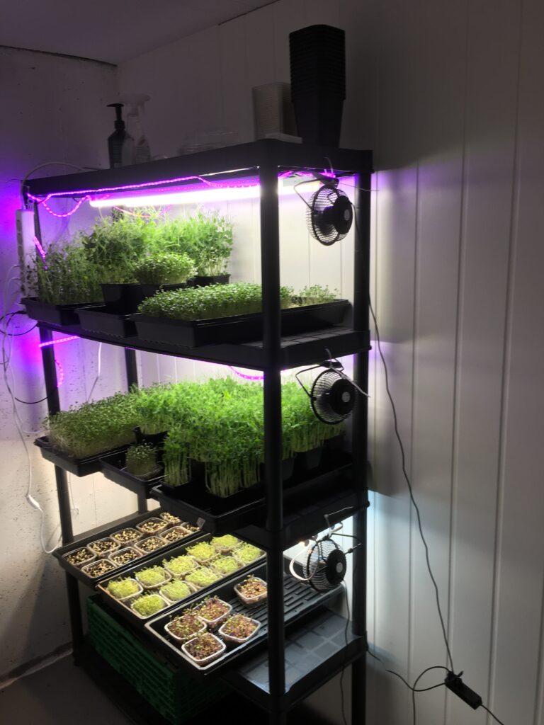 Leafshop Mikrogrønt desember 16, 2020 Mikrogørnt rack
