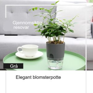 Leafshop.no april 28, 2021 Selvvanningspotte med gjennomsiktig bunn 2