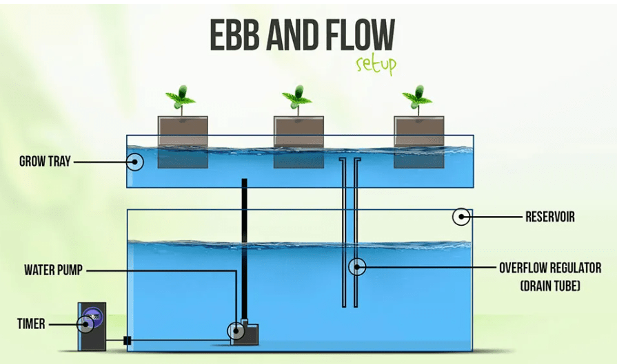 Ebb and flow hydroponisk oppsett