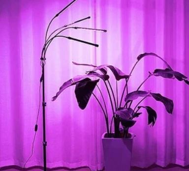 Få bedre plantevekst med LED-vekstlys Plante artikler 2